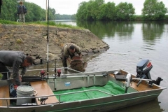 Fishing dinghies_156